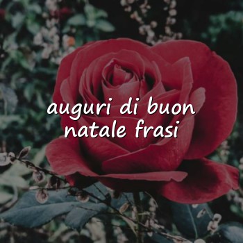 auguri di buon natale frasi - 2026