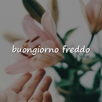 buongiorno freddo - 2026