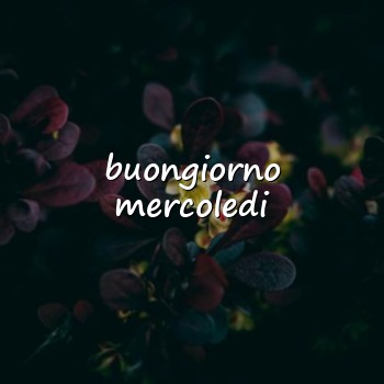 buongiorno mercoledi - 2026