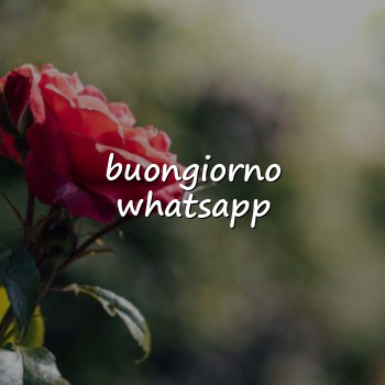 buongiorno whatsapp - 2026
