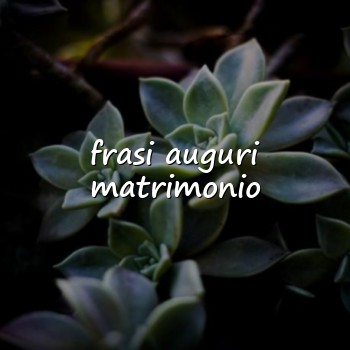 frasi auguri matrimonio - 2026