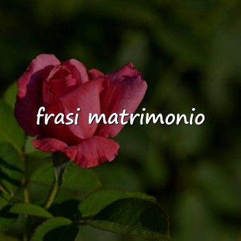 frasi matrimonio - 2026